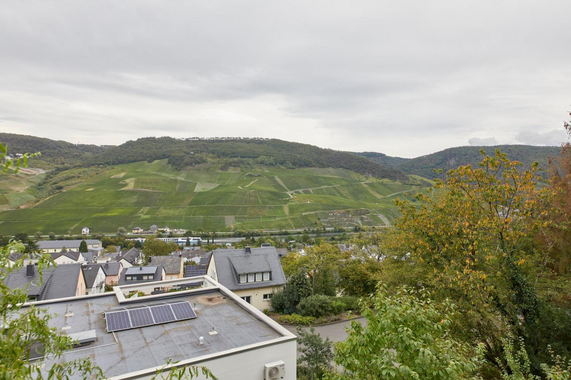 ベルンカステル・クースMosel Panoramaアパートメント エクステリア 写真